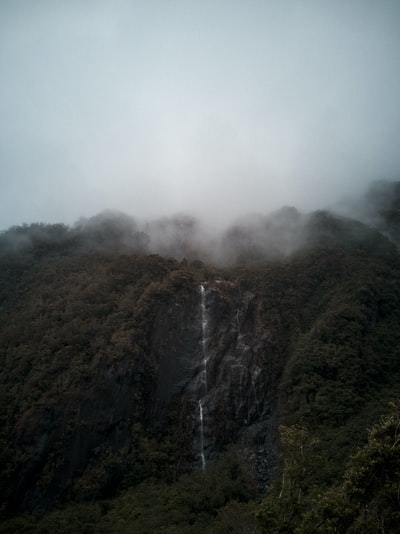 绿色和灰色的雾山
